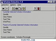 Window Detective